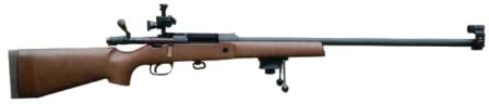 L81-A2 Cadet Target Rifle